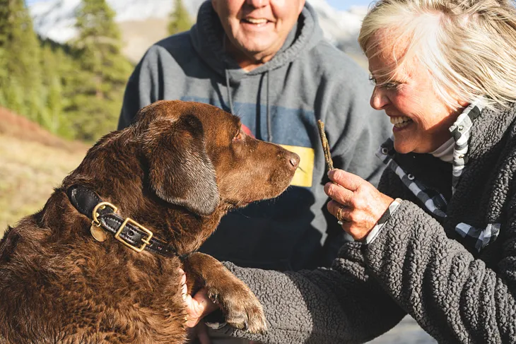 How do dogs communicate with humans and other animals?