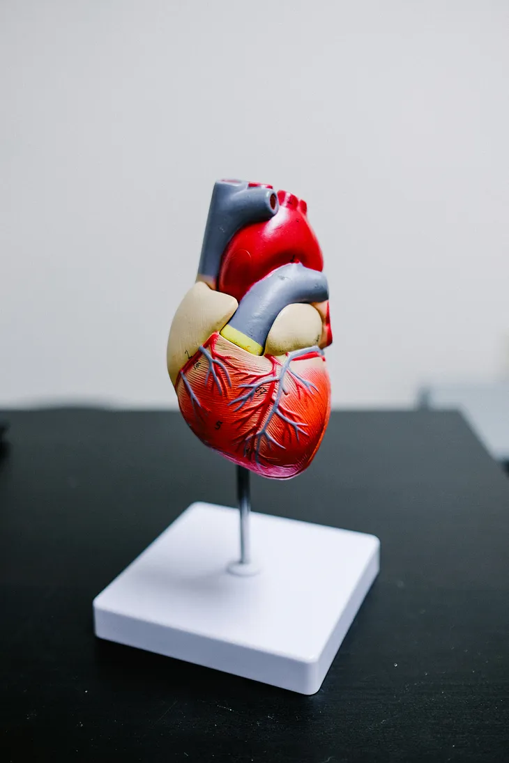 Is Too Much Good Cholesterol Bad for You?