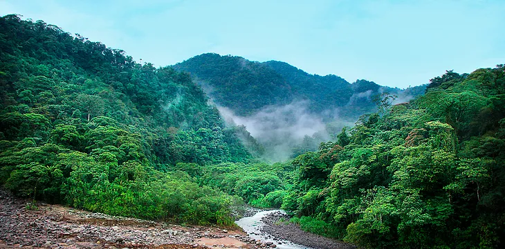 Advancing the Legal Rights of Nature in a Time of Environmental Crisis