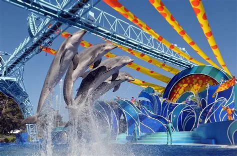 Top 5 Seaworld Tickets 2 For 49 San Diego