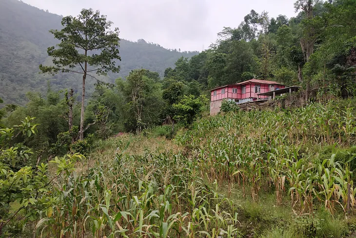 Shared Springs: How People in Rural Sikkim Source Water