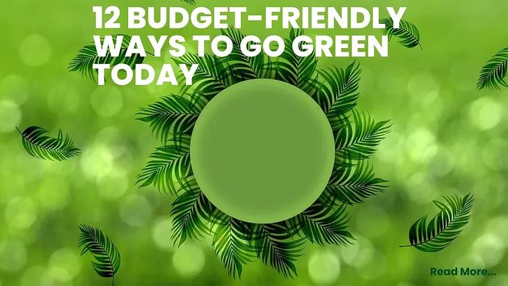 12 Budget-Friendly Ways to Go Green Today