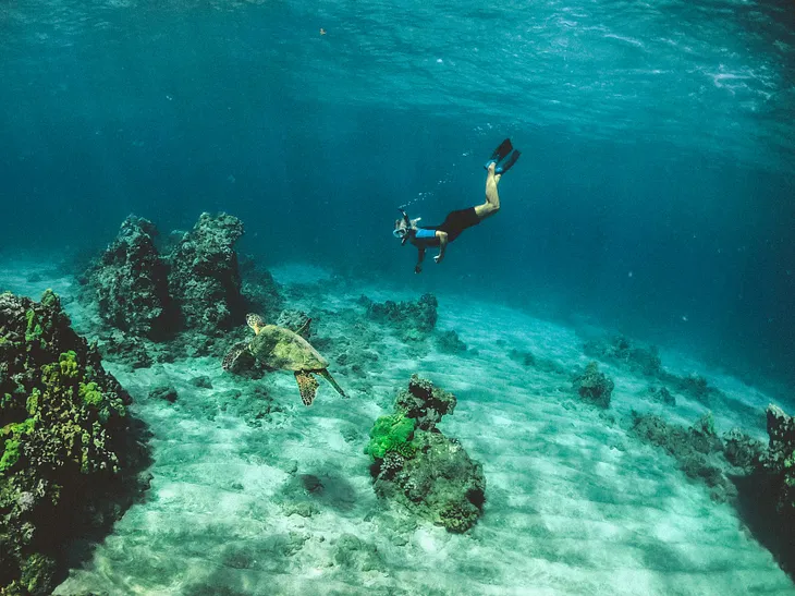 Snorkeling with Sea Turtles in the World’s Most Magical Spots