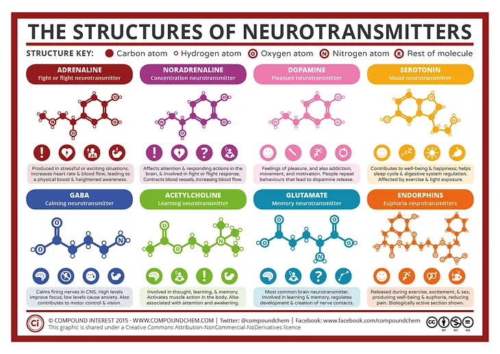 Table of Neurotransmitters