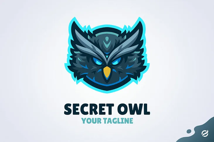 Secret Owl Cover Image 1