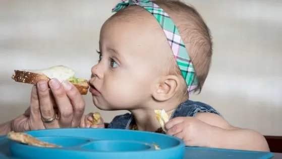 Baby-led Weaning First Foods