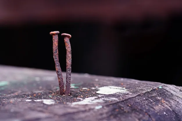 Why is stepping on a rusty nail so dangerous?