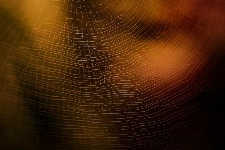 close-up shot of gold-tinted spider web
