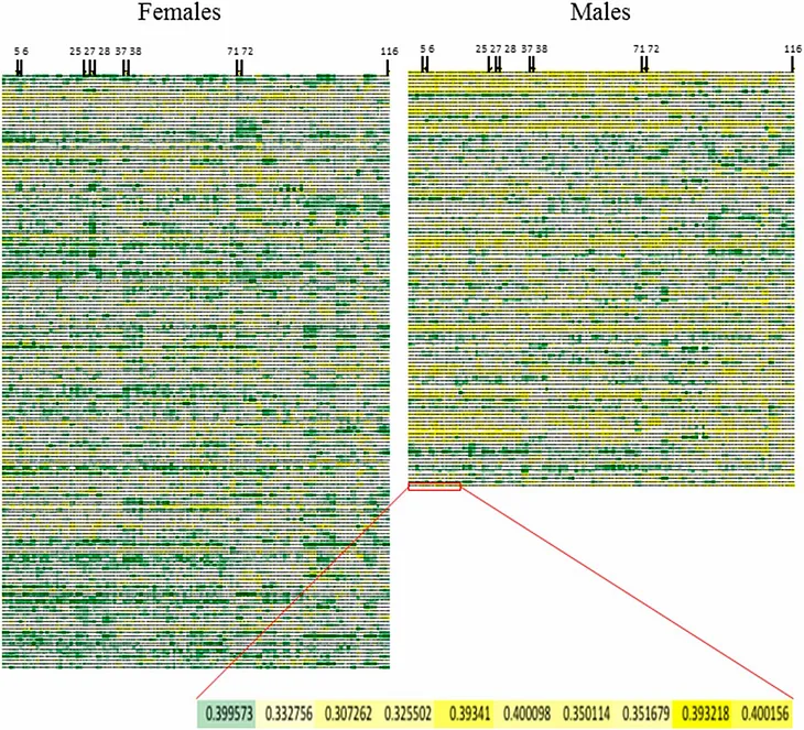 The Brain Mosaic Theory