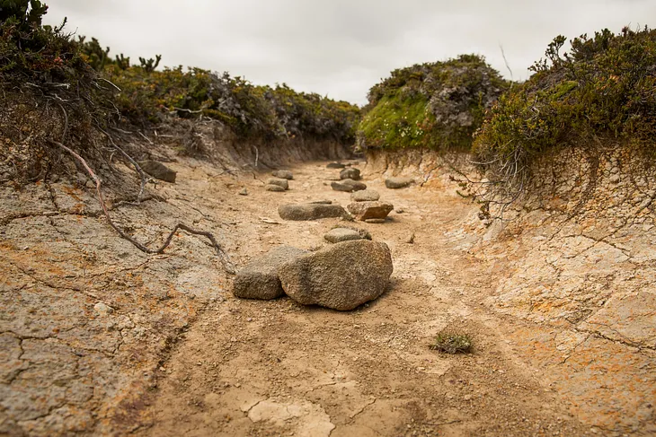 Old dry stones in a cracked and drought-stricken riverbed