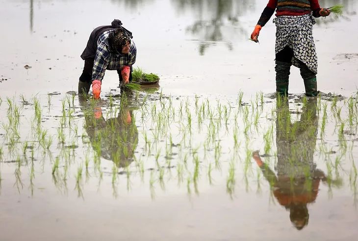 Iran Needs Sustainable Management of Its Water Resources, Experts Say