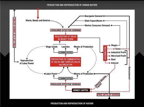 Thoughts on the “Contradictory” Nature of Capitalism According to David Harvey