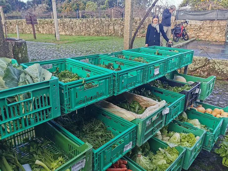How Our Food Systems Prevent Us From Eating Seasonally (Which Is Exactly Why We Should)