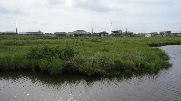 Bummerland or Thriving Wetland? The Mississippi Delta at a Crossroads