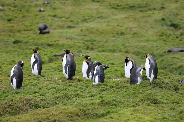 The Importance of Employee Engagement: Why Culture Lives in Conversations, Not Campaigns