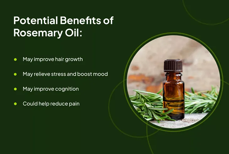 What Is Rosemary Oil?