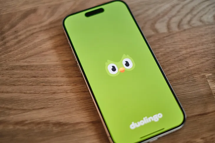 An image of the loading screen from the popular language-learning app DuoLingo.