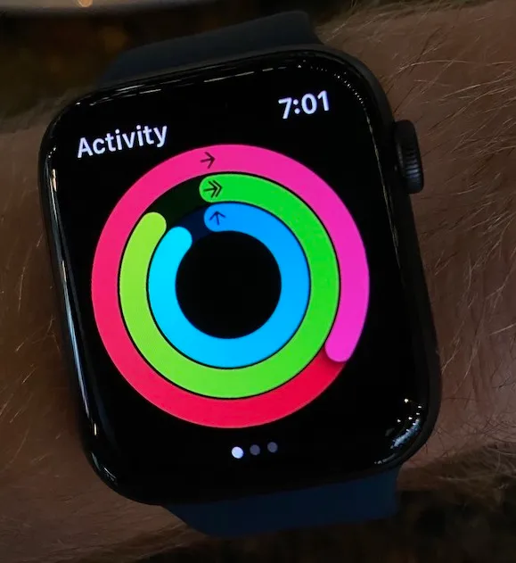 Apple Watch SE Impressions