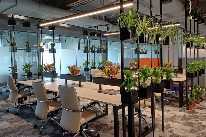 Biophilic Architecture for Improving Occupants Health in Office Space