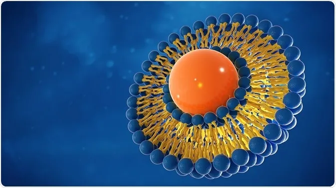 Liposomes | An overview