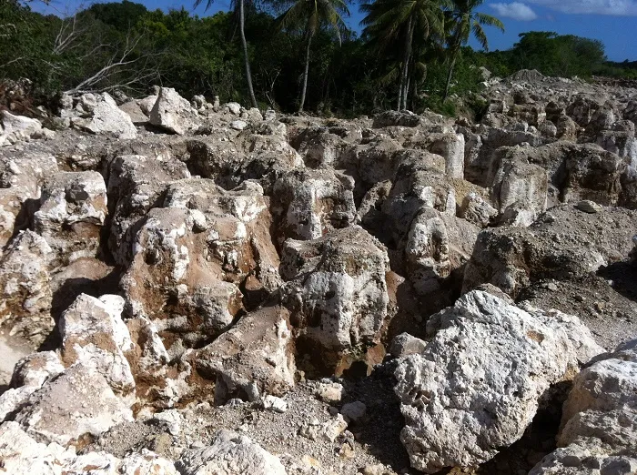 Nauru: A Country That Went From Rich to Poor Due to Bird Poop