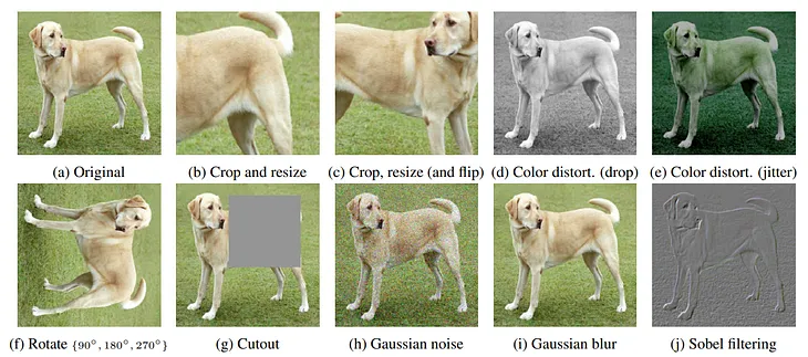 Photometric data augmentation in projection radiography