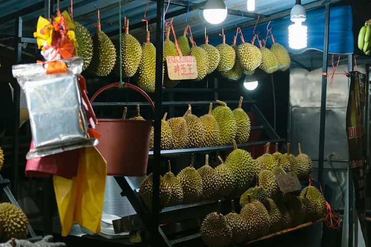 Ripe durian fruit with spiky husk