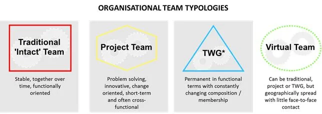 What is Type 2 Virtual Team? Unlocking Remote Collaboration