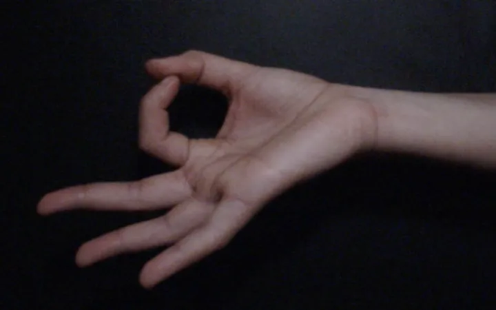 Algerian Hand Gestures