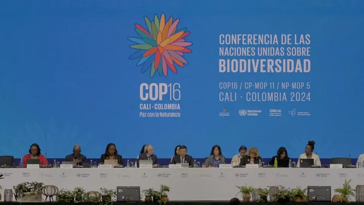 COP 16 Biodiversity Summit