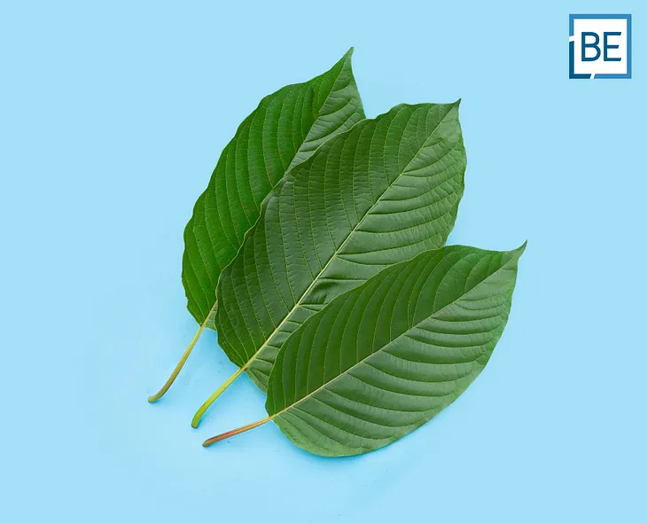 THAILAND NARCOTICS ACT NEW LEGAL FRAMEWORK FOR KRATOM IN THAILAND