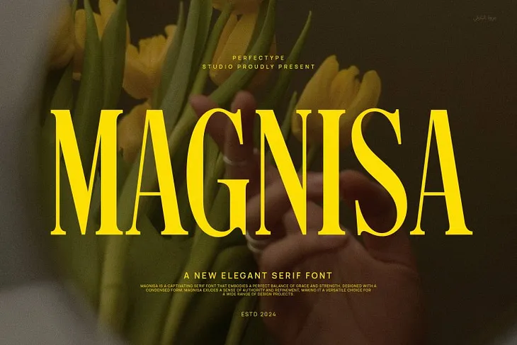 Magnisa Font