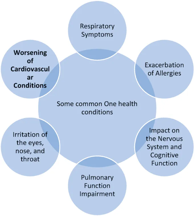 Impact of Smog on Urban Health and Environment: