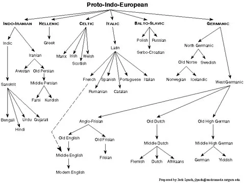 Why You Should Take Etymology at Duke