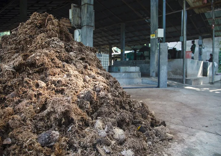 Turning Elephant Dung into Paper: An Eco-Friendly Solution!