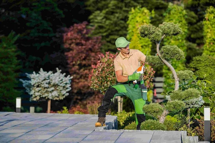 The Benefits of Hiring Professional Landscaping Services in Commerce City, CO