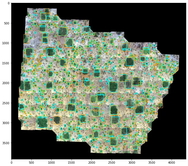 Can AI track reforestation projects using drone and satellite data?