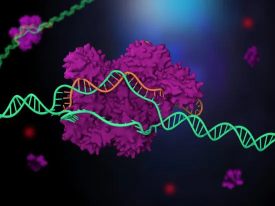 New Gene Editing Cas-CLOVER Adds an Alternative to CRISPR/Cas9