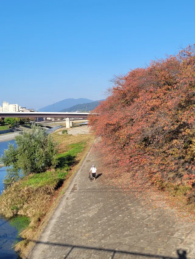 Autumn in Kyoto 2023 — the best places to see autumn leaves