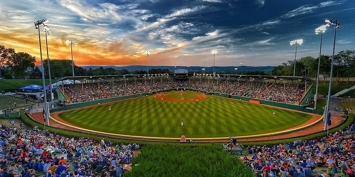 Noun vs. Verb: The Case Against Video Replay in The Little League World Series