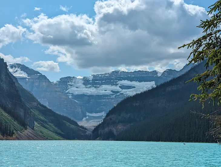 Waterfalls, Wildlife, and Wilderness: Unforgettable Hikes in Banff National Park