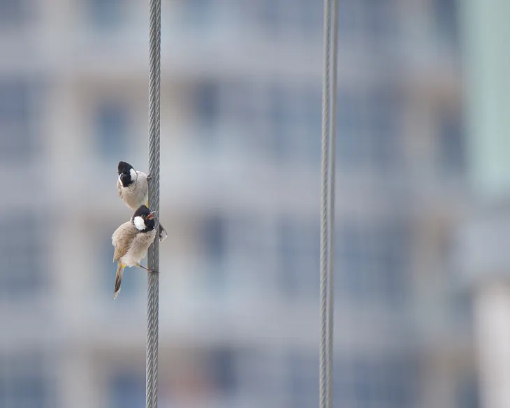 Next-Level Efficiency: Enabling Multi-Dimensional Pod Auto Scaling in Autopilot GKE for Seamless…