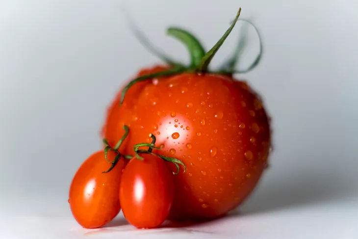 Red, ripe tomatoes, just washed and rady for a snack for those not allergid.