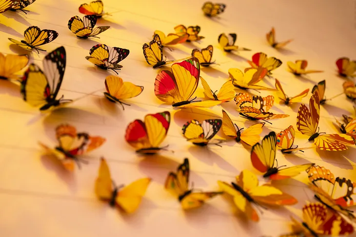 Many yellow butterflies.