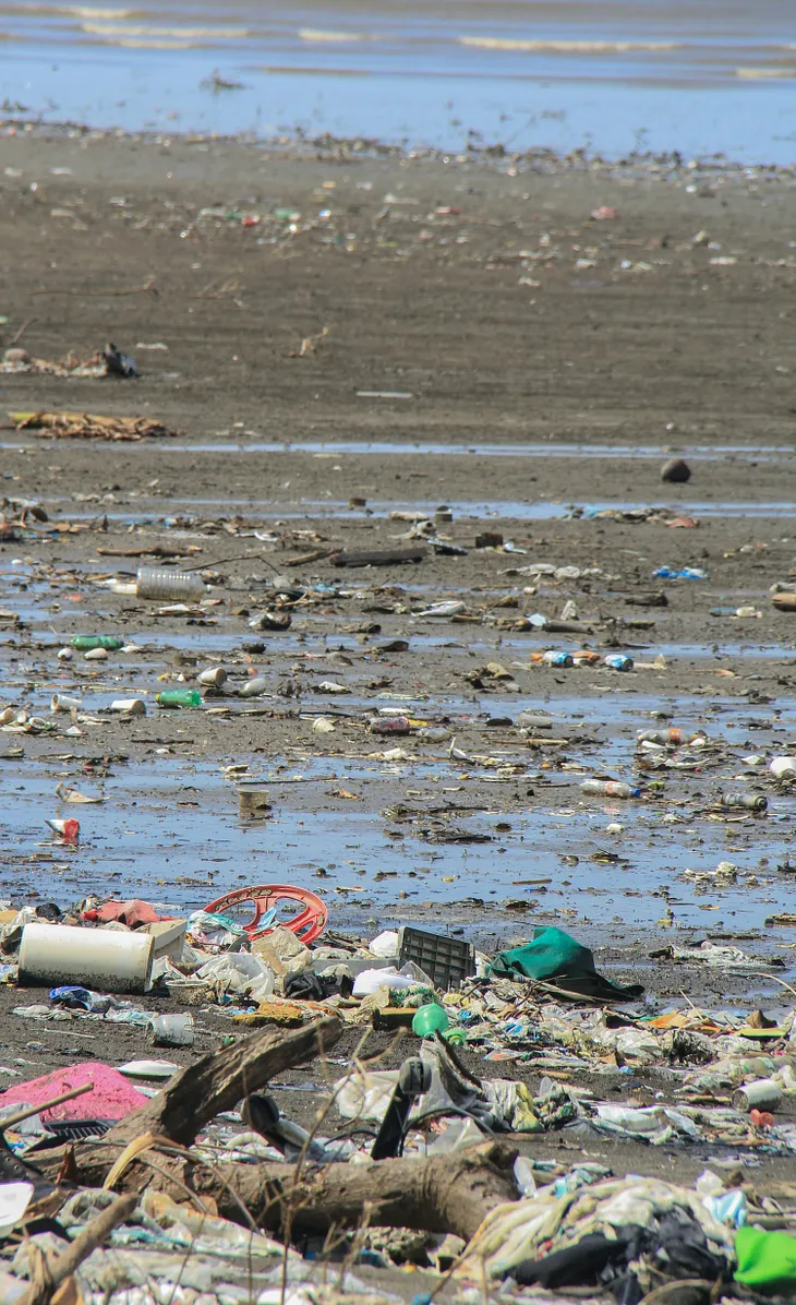 Confronting the Menace of Plastic Pollution