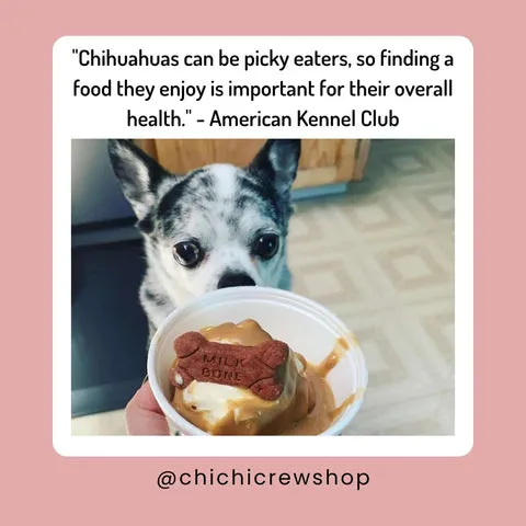 How Much Should A Chihuahua Be Fed? Key Insights and Guidance