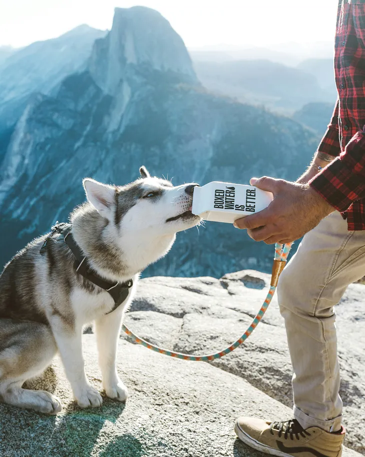 What Hiking Trails Allow Dogs?