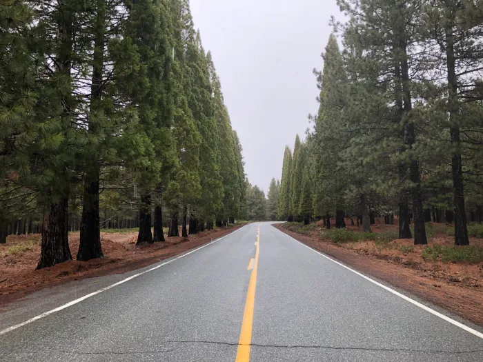 You May See a Spirit Around This California Mountain