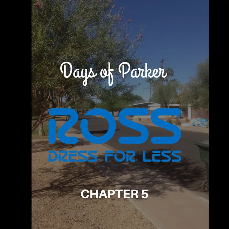 Chapter Five: Ross Dress For Less