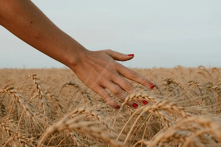 “I guess I planted” and other reflections on the Celebration of Lammas.